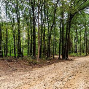 Photo #9 of 1630 Gerringer Mill, Burlington, NC 50.0 acres