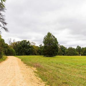 Photo #5 of 1630 Gerringer Mill, Burlington, NC 50.0 acres
