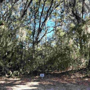 Photo #2 of 34 Dune Oaks Dr., Georgetown, SC 0.5 acres
