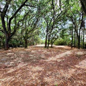 Photo #3 of 34 Dune Oaks Dr., Georgetown, SC 0.5 acres