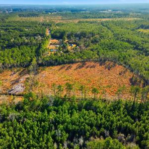 Drone / aerial view of a heavily wooded area