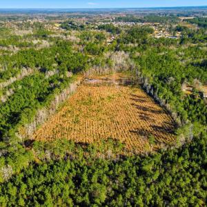 Drone / aerial view of large plots for crops
