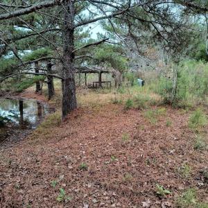 Photo #1 of 2701 Wise Rd., Conway, SC 6.0 acres