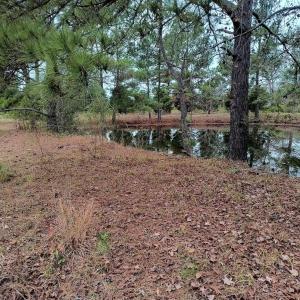 Photo #3 of 2701 Wise Rd., Conway, SC 6.0 acres
