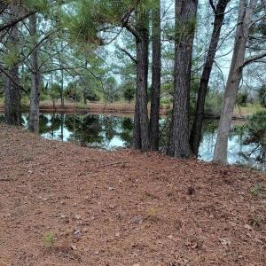 Photo #2 of 2701 Wise Rd., Conway, SC 6.0 acres