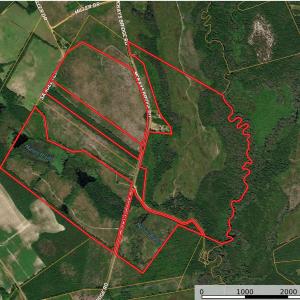 Photo #1 of McKays Bridge Rd., Dillon, SC 370.0 acres