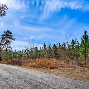 Photo #13 of McKays Bridge Rd., Dillon, SC 370.0 acres