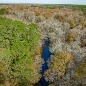 Photo #11 of McKays Bridge Rd., Dillon, SC 370.0 acres