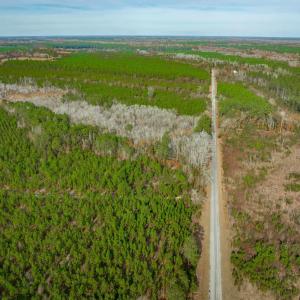 Photo #6 of McKays Bridge Rd., Dillon, SC 370.0 acres