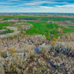 Photo #5 of McKays Bridge Rd., Dillon, SC 370.0 acres