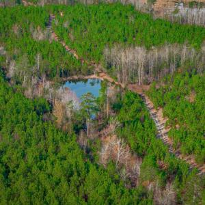 Photo #8 of McKays Bridge Rd., Dillon, SC 370.0 acres