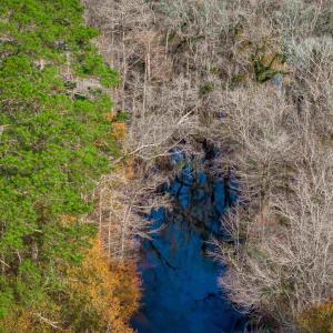 Photo #10 of McKays Bridge Rd., Dillon, SC 370.0 acres