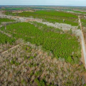 Photo #7 of McKays Bridge Rd., Dillon, SC 370.0 acres