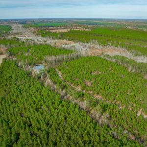 Photo #9 of McKays Bridge Rd., Dillon, SC 370.0 acres