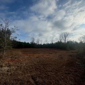 Photo #1 of TBD Lake Circle, Loris, SC 5.4 acres