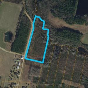 Photo #3 of TBD Lake Circle, Loris, SC 5.4 acres