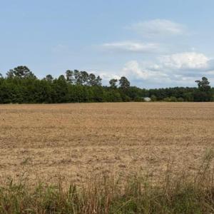 Photo #5 of TBD Mack Rd., Conway, SC 6.4 acres