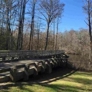 Photo #6 of TBD Woody Point Dr., Murrells Inlet, SC 0.4 acres