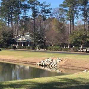 Photo #3 of TBD Woody Point Dr., Murrells Inlet, SC 0.4 acres