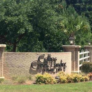 Photo #4 of TBD Woody Point Dr., Murrells Inlet, SC 0.4 acres