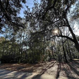 Photo #3 of Lot 173 Sanderling Ave., Georgetown, SC 0.5 acres