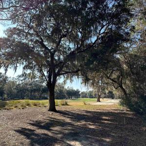 Photo #5 of Lot 173 Sanderling Ave., Georgetown, SC 0.5 acres