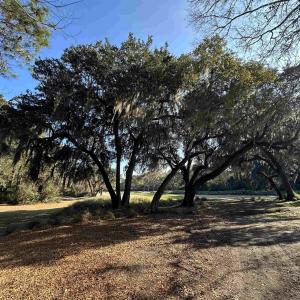 Photo #4 of Lot 173 Sanderling Ave., Georgetown, SC 0.5 acres