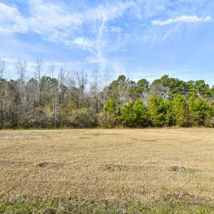 Photo #5 of 6745 Highway 19, Loris, SC 1.2 acres
