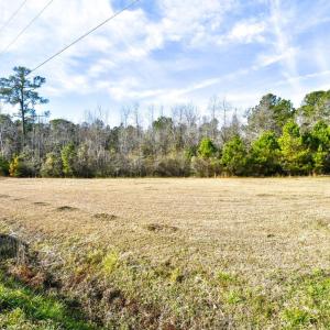Photo #10 of 6745 Highway 19, Loris, SC 1.2 acres