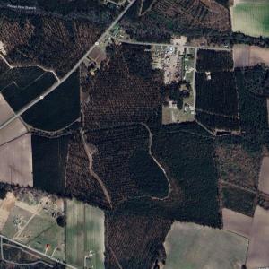 Photo #23 of Acreage Highway 45, Loris, SC 127.0 acres