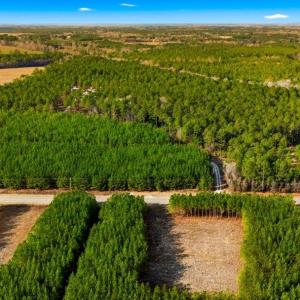 Photo #6 of Acreage Highway 45, Loris, SC 127.0 acres