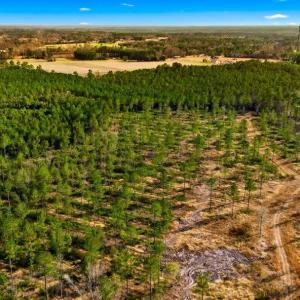 Photo #3 of Acreage Highway 45, Loris, SC 127.0 acres