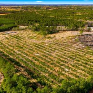 Photo #18 of Acreage Highway 45, Loris, SC 127.0 acres