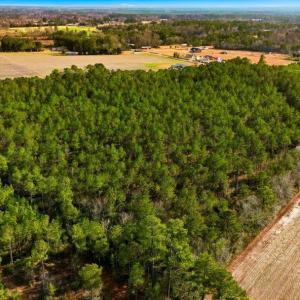 Photo #13 of Acreage Highway 45, Loris, SC 127.0 acres