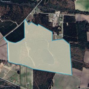 Photo #22 of Acreage Highway 45, Loris, SC 127.0 acres