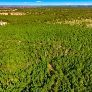 Photo #15 of Acreage Highway 45, Loris, SC 127.0 acres