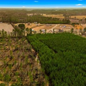Photo #1 of Acreage Highway 45, Loris, SC 127.0 acres