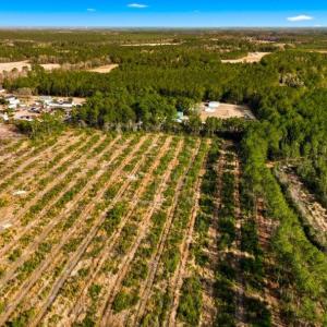 Photo #3 of Acreage Highway 45, Loris, SC 127.0 acres