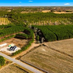 Photo #6 of Acreage Highway 45, Loris, SC 127.0 acres