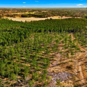 Photo #2 of Acreage Highway 45, Loris, SC 127.0 acres