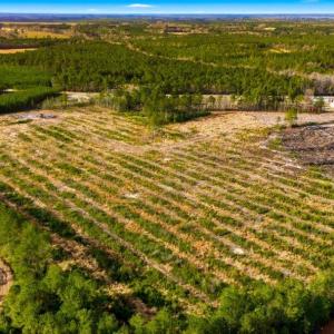 Photo #16 of Acreage Highway 45, Loris, SC 127.0 acres