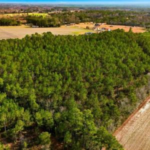 Photo #11 of Acreage Highway 45, Loris, SC 127.0 acres
