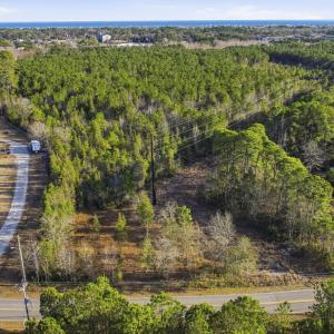 Drone / aerial view of a forest