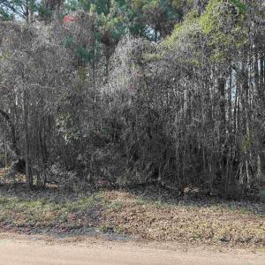 Photo #3 of Lt 4 Rolling River Rd., Longs, SC 0.7 acres