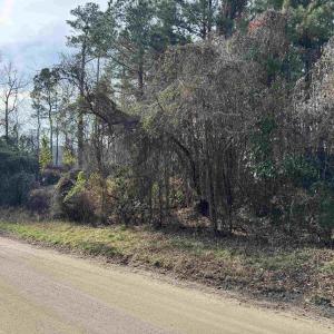 Photo #1 of Lt 4 Rolling River Rd., Longs, SC 0.7 acres