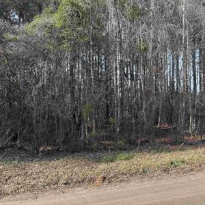 Photo #2 of Lt 4 Rolling River Rd., Longs, SC 0.7 acres
