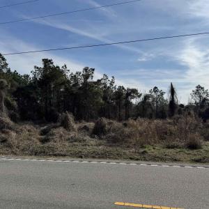 Photo #3 of Lt 2 Highway 905, Longs, SC 2.2 acres