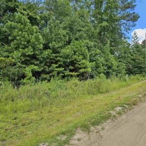 View of dirt / gravel road
