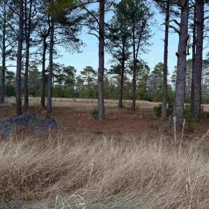 Photo #4 of TBD Belland Ct., Loris, SC 1.3 acres