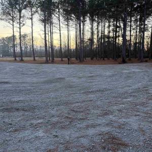 Photo #2 of TBD Belland Ct., Loris, SC 1.3 acres